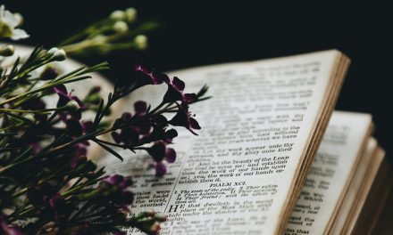 SCRIPTURAE SACRAE AFFECTUS – Відданість Святому Письму