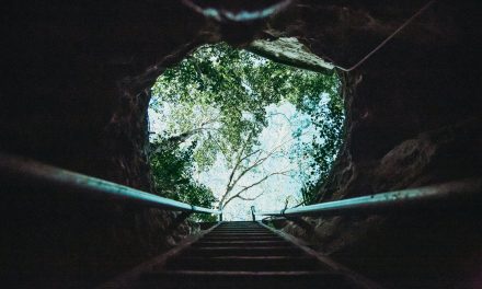 Книга “Іспит сумління”. 15 частина