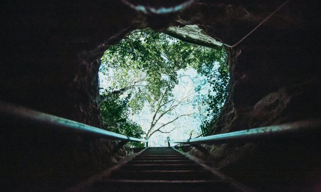 Книга “Іспит сумління”. 15 частина