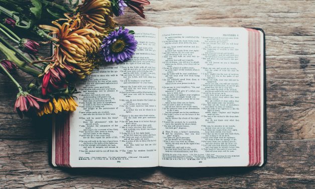 Книга “Іспит сумління”. Повний текст