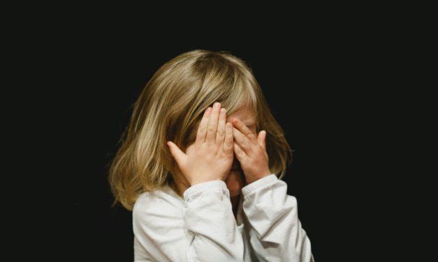 Провина і сором